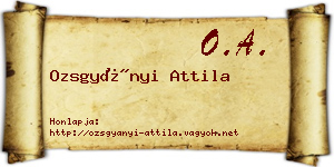 Ozsgyányi Attila névjegykártya